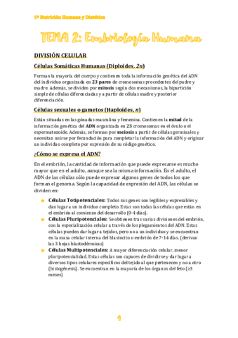TEMA-2.pdf