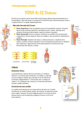 TEMA-6.pdf