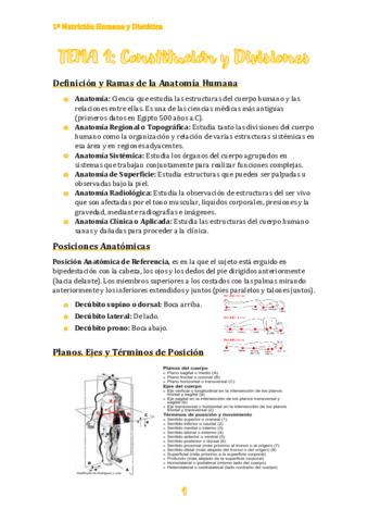 TEMA-1.pdf