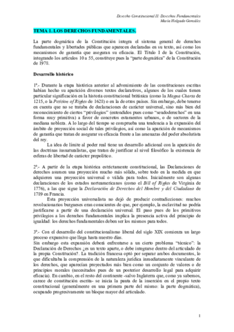 TEMA 1.pdf