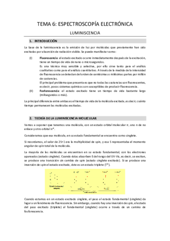 TEMA-6.pdf
