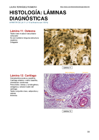Practicas-histologia-LAMINAS-DIAG.pdf