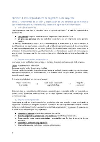 Bloque-II-Conceptos-basicos-de-la-gestion-de-la-empresa.pdf