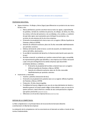 TEMA-6-Mercantil--Derecho-Privado.pdf