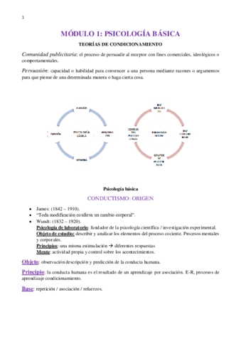 APUNTES-PSICOLOGIA-def.pdf