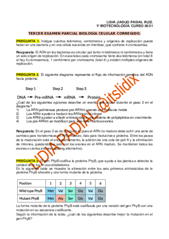 3er-EXAMEN-PARCIAL-BIOCEL-CORREGIDO.pdf