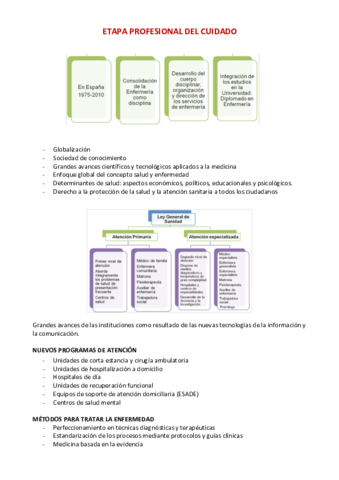 ETAPA-PROFESIONAL-DEL-CUIDADO.pdf