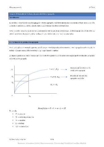 Macroeconomia-Tema-6.pdf