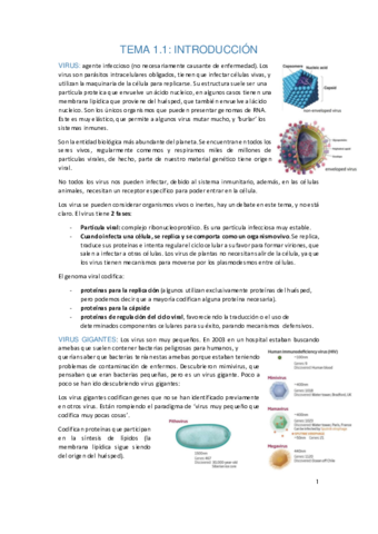 Apuntes-virologia-temario-entero.pdf