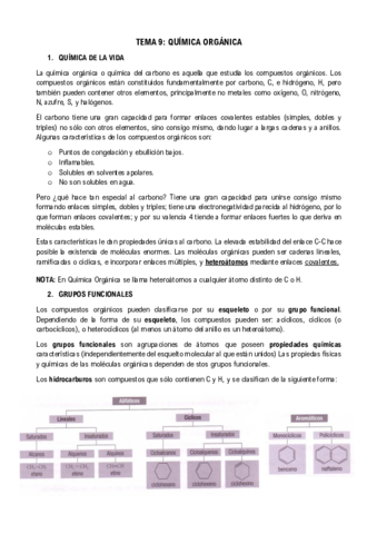 Apuntes T.9 Química Orgánica