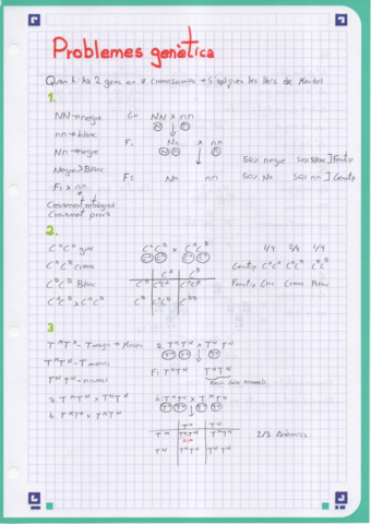 problemes-genetica-a-net.pdf