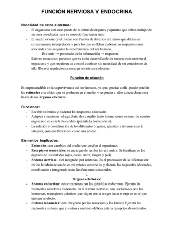 FUNCION-NERVIOSA-Y-ENDOCRINA.pdf