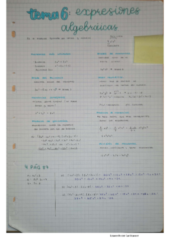 expresiones-algebraicas.pdf