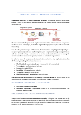 TEMA-10-REGULACION-DE-LA-EXPRESION-GENICA-EN-EUCARIOTAS.pdf