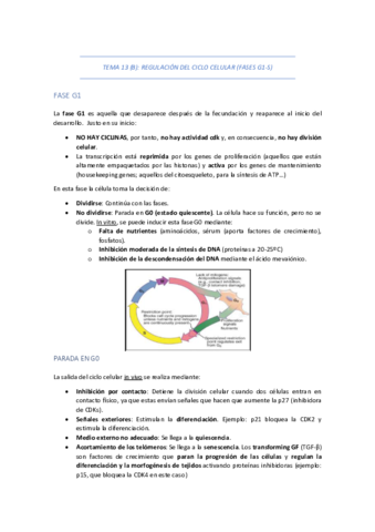 TEMA-13-B-REGULACION-DEL-CICLO-CELULAR-FASES-G1-S.pdf