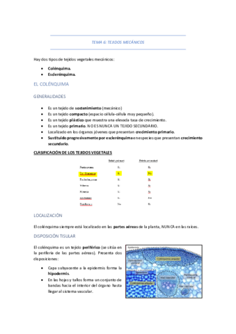 TEMA-6-TEJIDOS-MECANICOS.pdf
