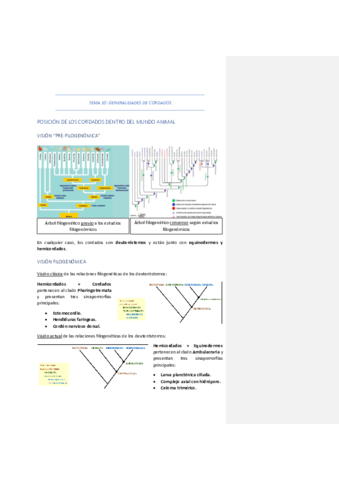 TEMA-10-GENERALIDADES-DE-CORDADOS.pdf