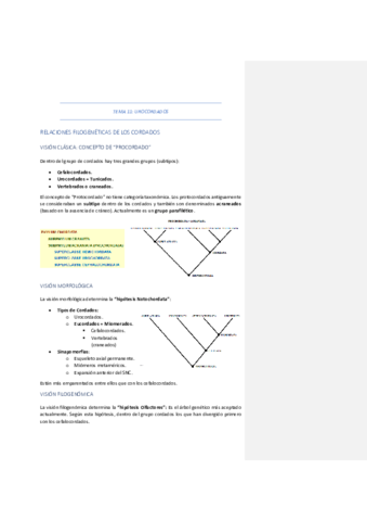 TEMA-11-UROCORDADOS.pdf