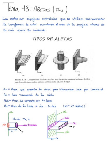 Tema-13Aletas.pdf