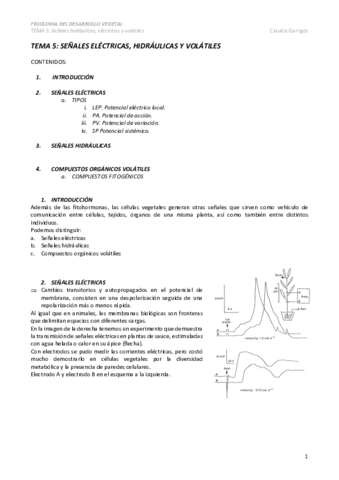 TEMA-5.pdf