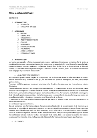 TEMA-4-.pdf