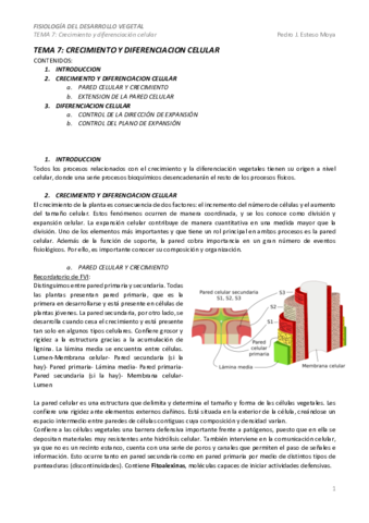 TEMA-7-.pdf