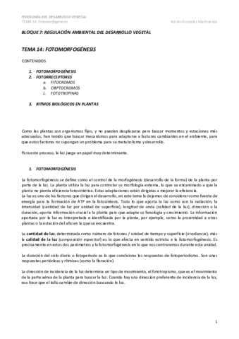 TEMA-14.pdf