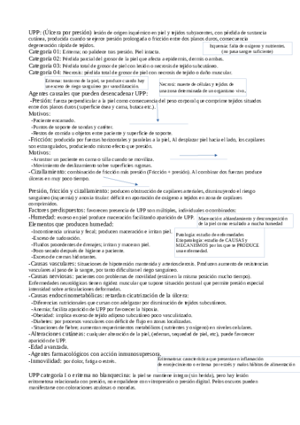 Tbi-tema-4.pdf