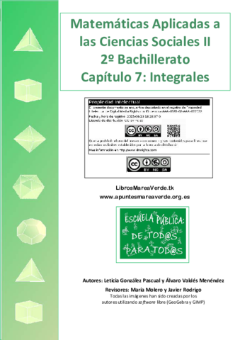 Teoria-integrales-marea-verde.pdf