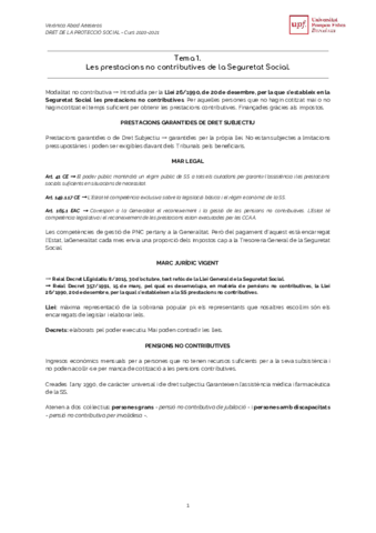 RESUM-DRET-DE-LA-PROTECCIO-SOCIAL.pdf