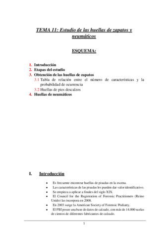 TEMA-11.pdf