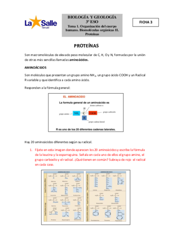Ficha-3.pdf