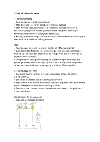TEMA-13-Tejido-Nervioso.pdf