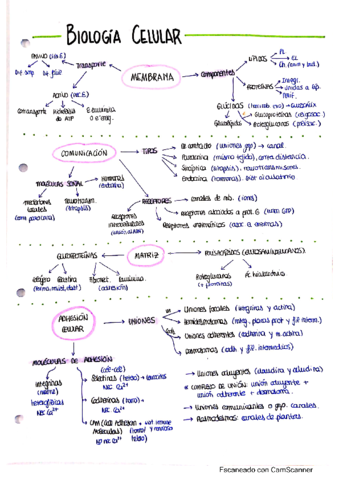 Esquema-Biologia-Celular.pdf