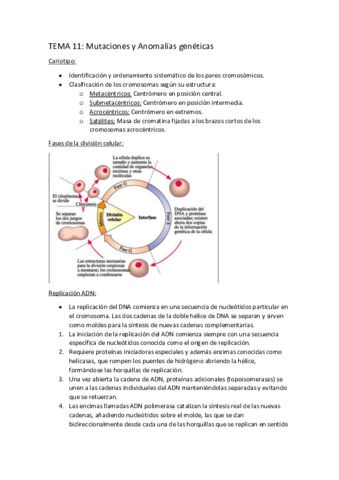 Apuntes-del-tema-11-12-y-13-de-biologia.pdf