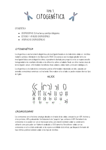 tema-4-CITOGENETICA.pdf