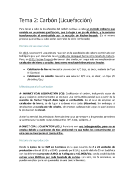 2- CARBÓN (LICUEFACCIÓN).pdf
