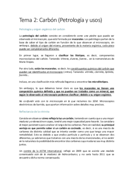 2- CARBÓN (PETROLOGÍA Y USOS).pdf