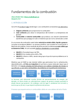 4-FUNDAMENTOS DE LA COMBUSTIÓB.pdf