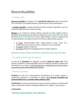 5-BIOCOMBUSTIBLES.pdf