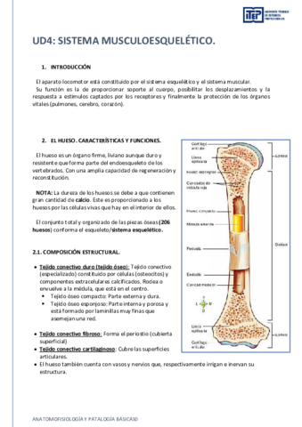 Unidad-4-resumen.pdf