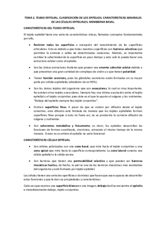 histología.pdf