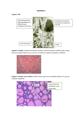 SEMINARIO-6.pdf
