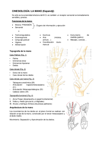 Apuntes-Mano-Kapandji.pdf