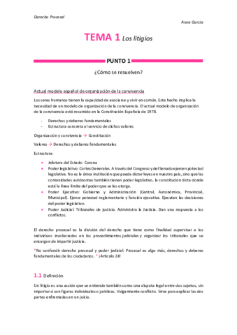 Tema-1-Los-litigios.pdf
