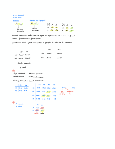 Tema-12-Leyes-de-Mendel.pdf