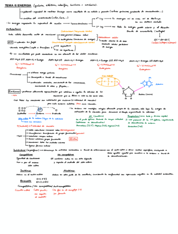 Resum-Parcial-2-Bio.pdf