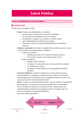 Salud PúblicaCOMPLETO.pdf