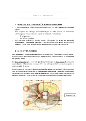 TEMA-14-EL-CAMPO-VISUAL.pdf