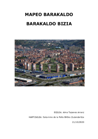 MAPEO.pdf